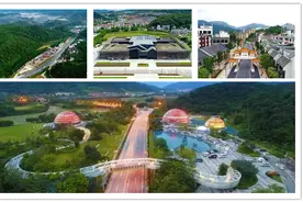 中秋国庆假期，从化良口镇特色山果，鸡心柿/山捻仔已成熟可摘图片