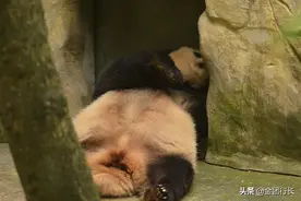 小卖部怎么还不开门图片