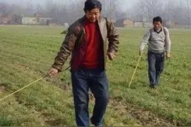 洗衣粉＋除草剂＋食用醋，除草彻底，效果好，而且还环保图片