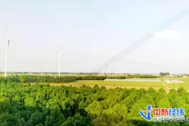 “隆平高科”冲上热搜！水稻种子业务占营收“半壁江山”图片