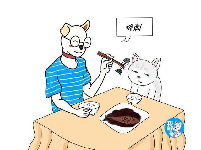 辟谣：猫咪不会流口水？有一种流口水叫多涎症，甚至会危及生命