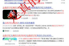 鱼的记忆只有7秒？鱼：这是我被黑得最惨的一次图片