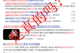 鱼的记忆只有7秒？鱼：这是我被黑得最惨的一次图片