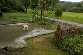 笑死我啦！图片