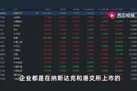 金融危机后崛起的美团，背后的金主是谁？西瓜视频带你揭秘图片