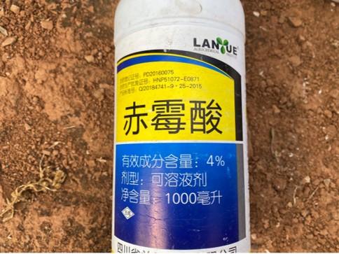 赤霉素使用不当会出现粗皮果，卖价比别人低1块，保果需科学使用