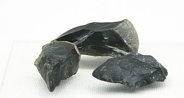 古代鹿角化石价格