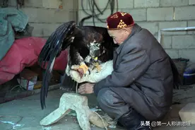 新疆七旬哈萨克驯鹰人图片