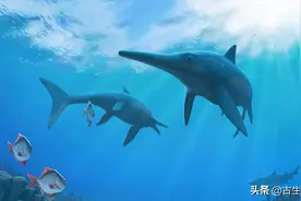 最后的鱼龙，见证中生代海洋家族的落幕图片