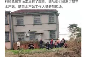 兴化这条河里惊现一只鳄鱼，嘴里竟然还有这个图片