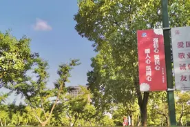 夏日微风正好，七月的傍晚，不如去浦南运河公园、韩谊路散散步吧！图片