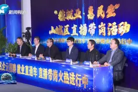 山城区“直播带岗”活动登上河南午间报道 鹤壁稳就业惠民生再受关注图片