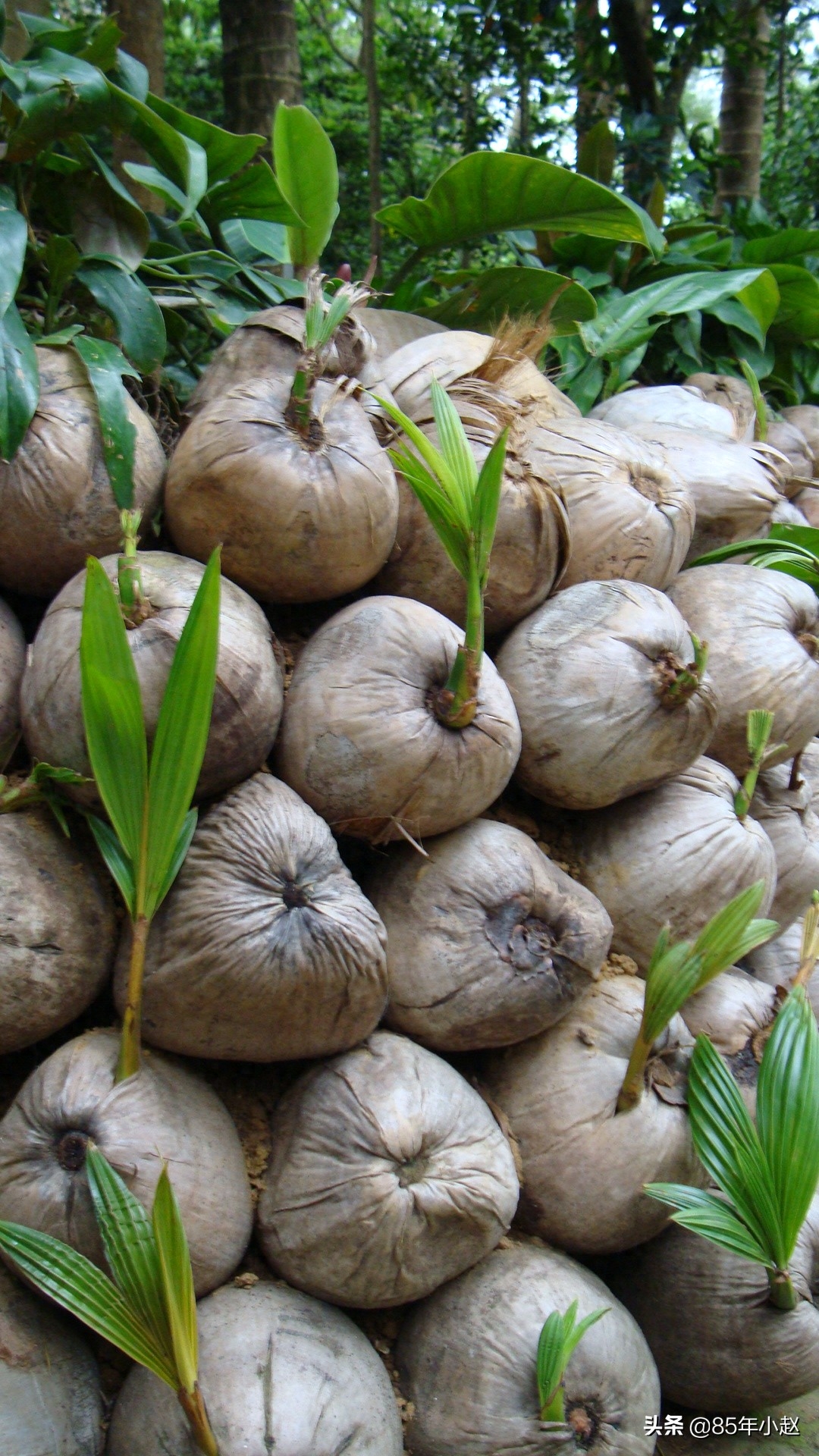 每当看到美好的景色,不由得拿起相机拍摄一下,留下美好的回忆