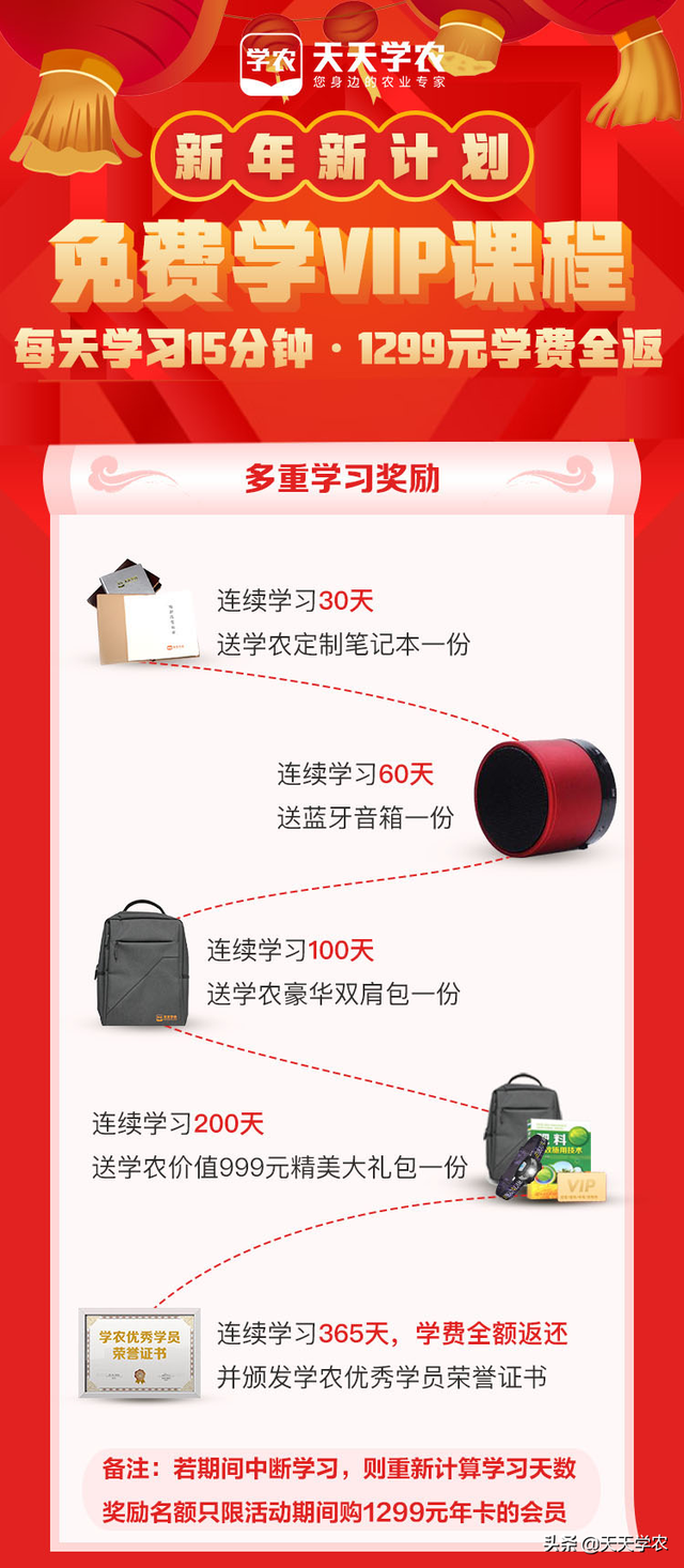 冬枣裂果，不止缺钙那么简单！土水肥管理、修剪、药剂防治不能少