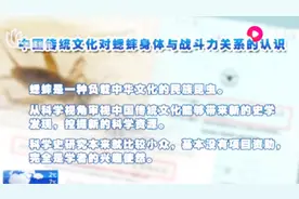 “奇葩论文”引发争议！是博人眼球，还是规范研究？视频封面