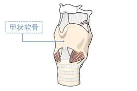 为什么不能摸男朋友的喉结？是一个身体敏感点，让你碰说明是真爱图片