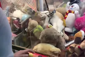 一台娃娃机前堵满人，以为有什么新玩意，挤进去一瞧：太过分了图片