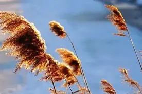 教师中级职称的三个档次晋升高级职称最低档7档的岗位工资增加额图片