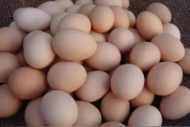 鸡蛋也有“假的”，教你几招分辨，别买到假鸡蛋还傻傻不知道图片