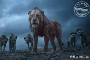 《狮子王》中被黑的最惨的动物，备受误会的鬣狗图