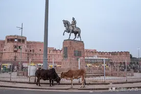 同样信奉印度教，为什么印度人不吃牛肉，尼泊尔人却可以吃？图片