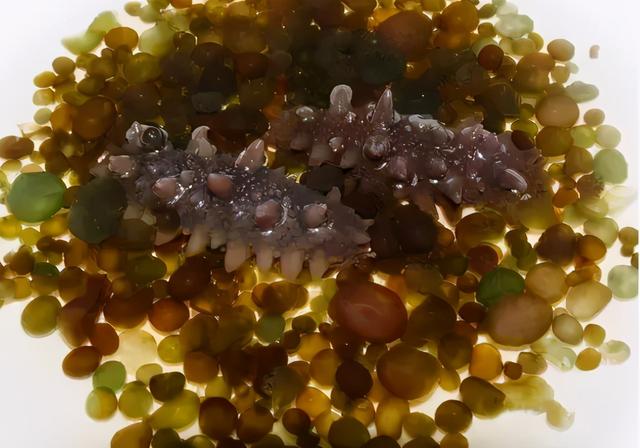 叫米不是米，附生于稻田，曾遭嫌弃没人捡，如今靠种植才够吃