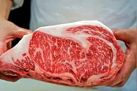 走进日本神户和牛牧场，人性化饲养培育雪花牛肉！视频封面