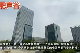 合肥的中国声谷与武汉的中国光谷，哪个实力更强？图片