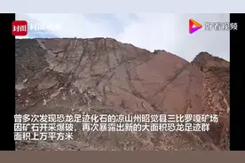 震撼！凉山这地方发现大规模恐龙足迹群视频封面