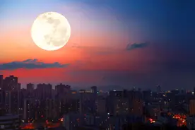 九叶重楼二两，冬至蝉蜕一钱，煎入隔年雪煮沸，可治世人相思苦疾图片