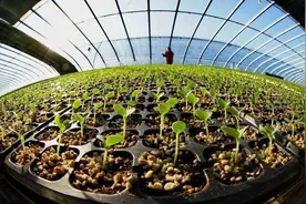 童颜鹤发，这套按摩操助你一臂之力图片