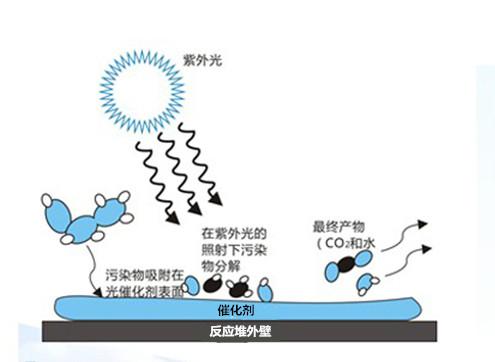 新型冠状病毒29：光解，自由基，特异性识别；核酸内切酶