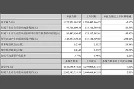 电机零部件低毛利压制盈利能力 长鹰信质（002664.SZ）大股东100%质押待解图片