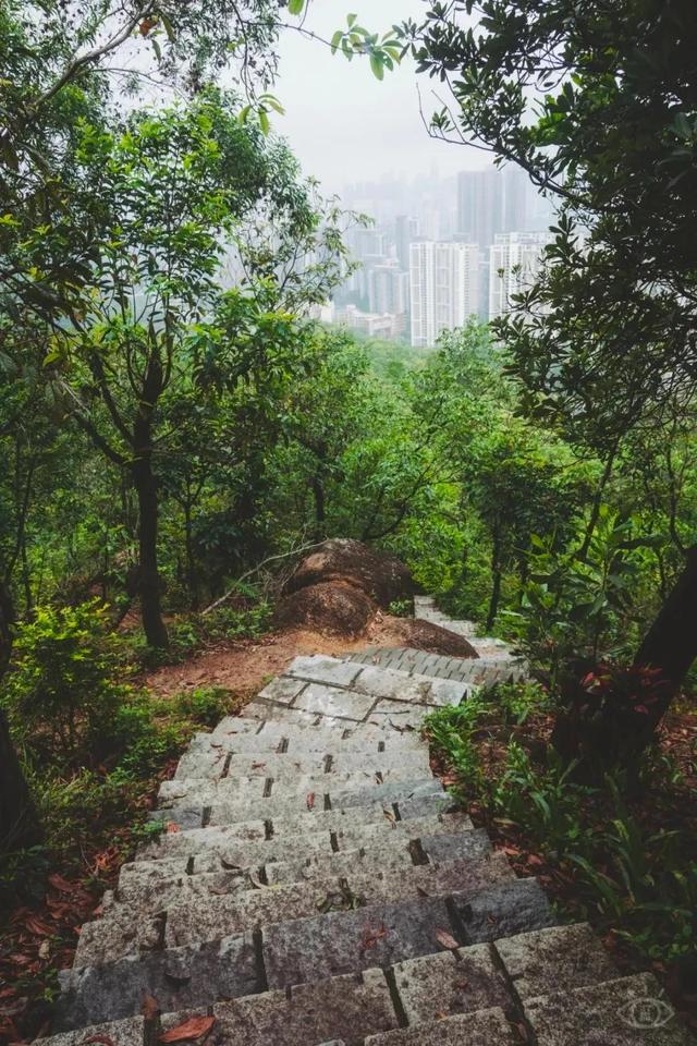 深圳值得征服的10座山，你去过几座？