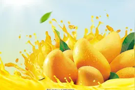 饮料烘焙圈最受欢迎的芒果浆图片