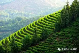 广德新杭镇近代温州移民的一段记忆图片