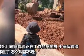 2岁萌娃自带小板凳监工挖掘机，网友：全国统一，男孩子都喜欢图片