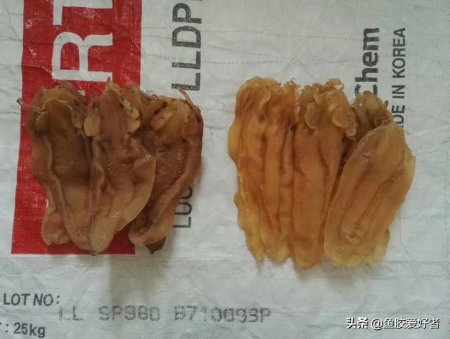 苏里兰北海花胶 2026年北海苏里南鱼胶