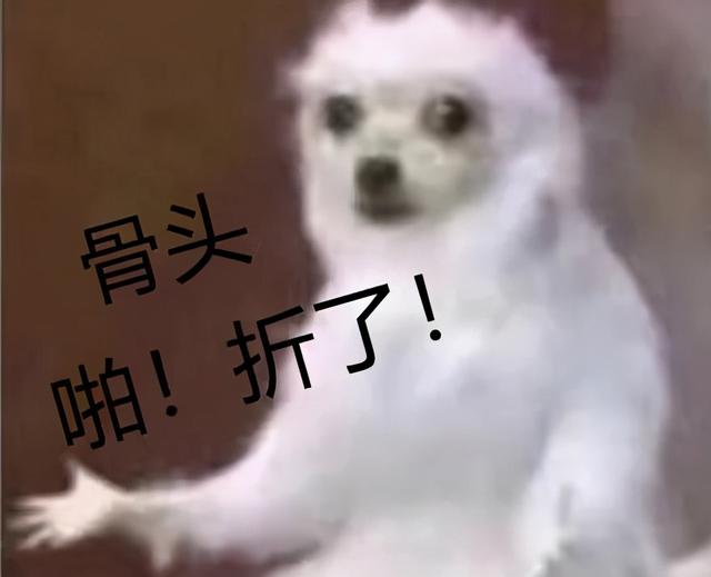 l1椎体压缩性骨折（搬个花盆）
