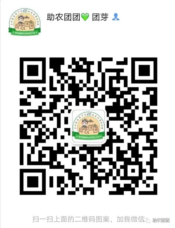 助农团团丨刺梨产业巡礼②：金秋十里沟，硕果满枝头