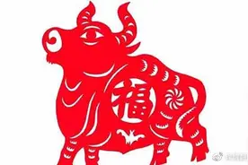 “bull、cow、ox（牛）”的成语，你知道几个？图片