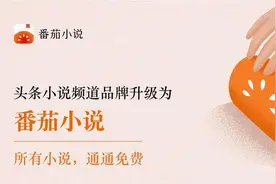 今日头条小说频道升级为“番茄小说”，全场小说免费阅读图片