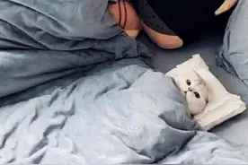 女孩让男友帮忙照顾猫咪，出差回来吃醋了：猫咪要抢我男友了图片