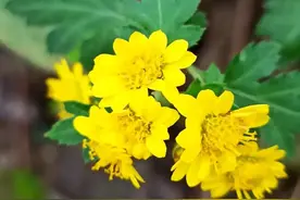 好的坏的，全是自己的选择图片