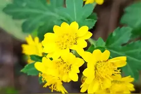 好的坏的，全是自己的选择图片