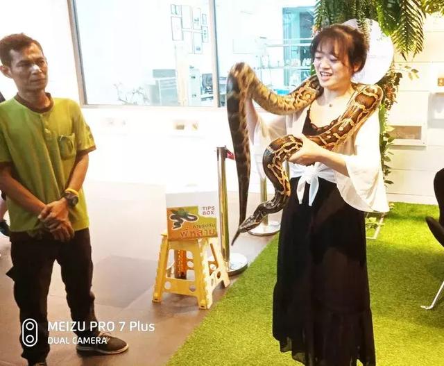 文苑 | 醉游“泰、新、马”三国