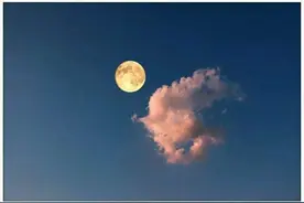 犹记昨夜，彩云追月。风止叶静，树默鸟眠图片