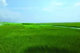 林草科普|制定有效的管理计划，防止新的生物入侵，并对被入侵的植物多样性重要地区实行管理图片
