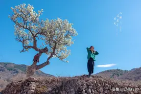 山谷里的思念（旅拍人像）图片