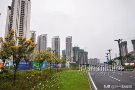 泸州城西新城：城市管理智能化 一街一景美如画图片